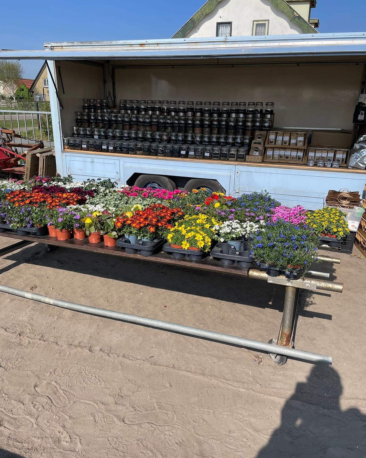 Tafel met kleurige potplanten bij de verkoopkraam